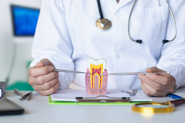 Best Emergency Dental Surgery in Montgomery, MN